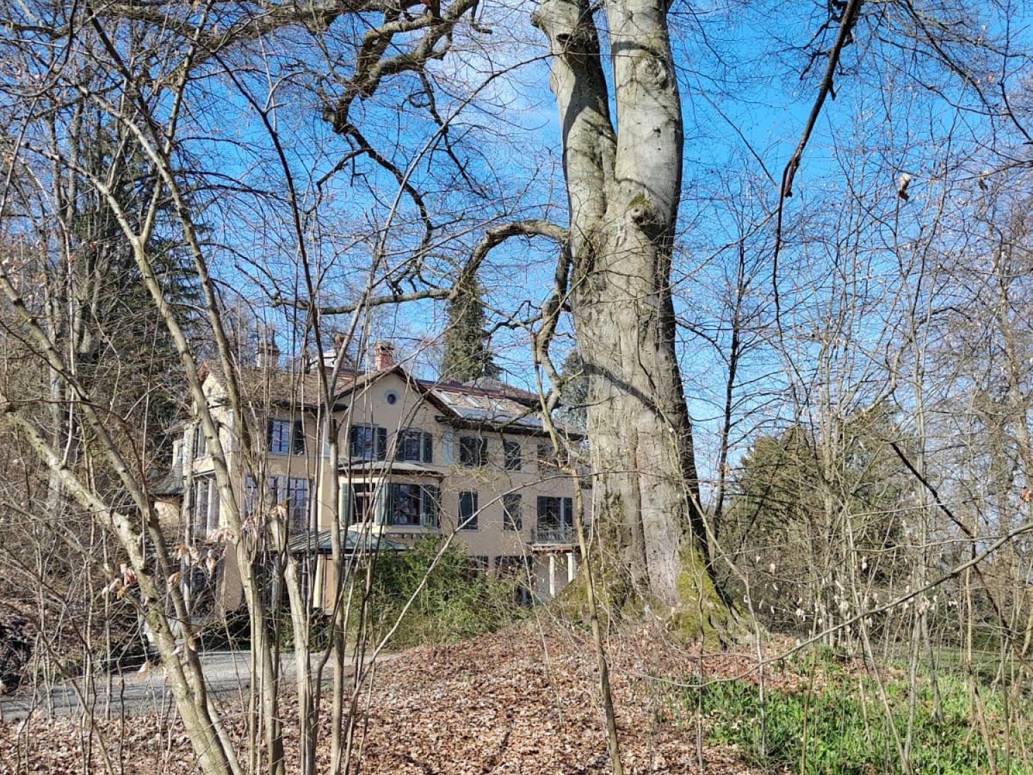 Buche villa