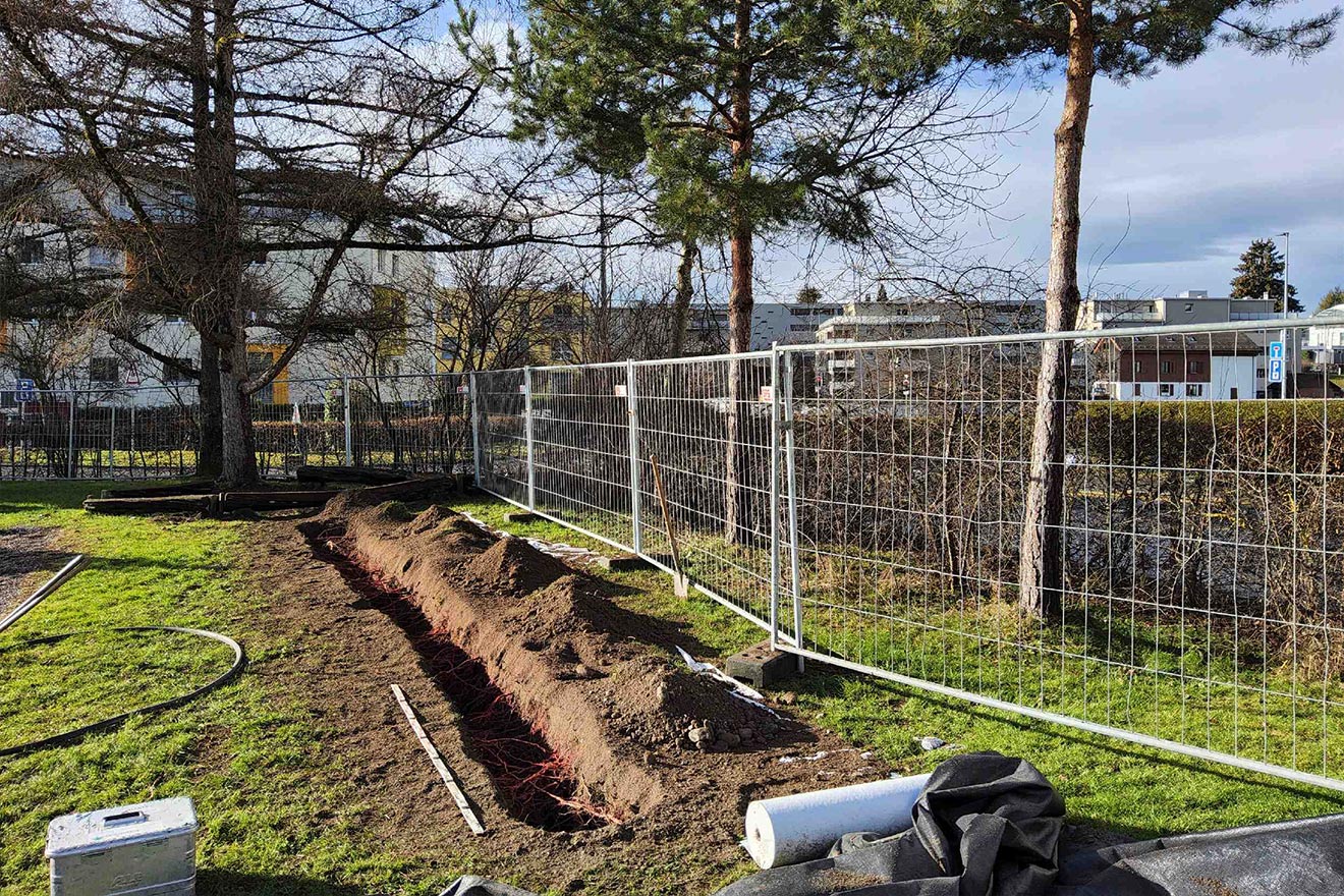 Erstellung eines Wurzelregenerationsgrabens zum Schutz vor Tiefbaurbeiten