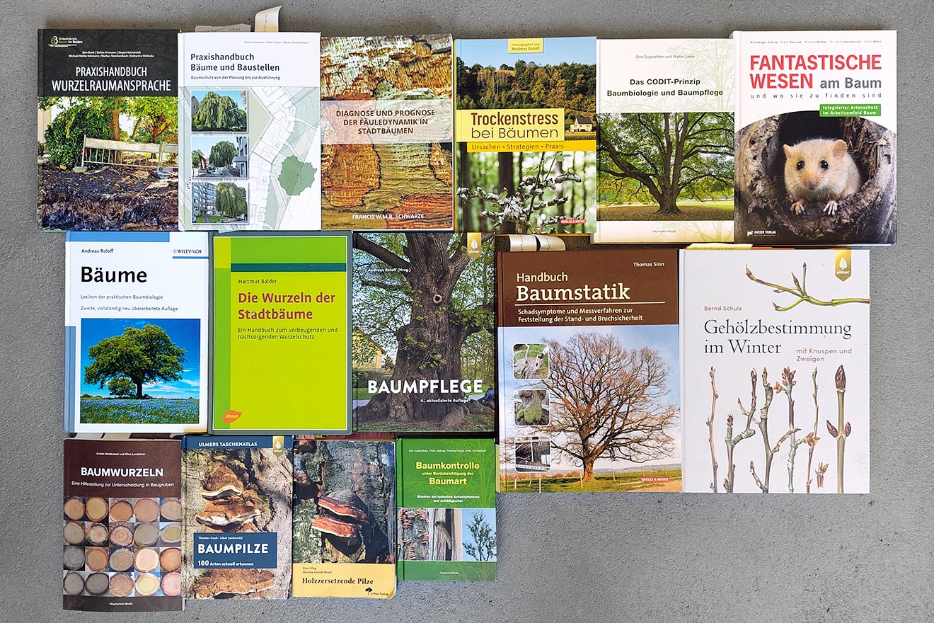 Literatur zur Thematik Baum
