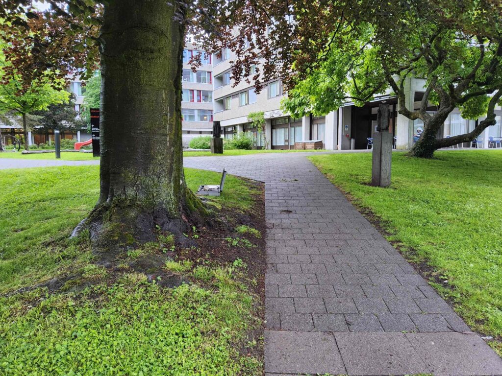 wegbau und Baumschutz