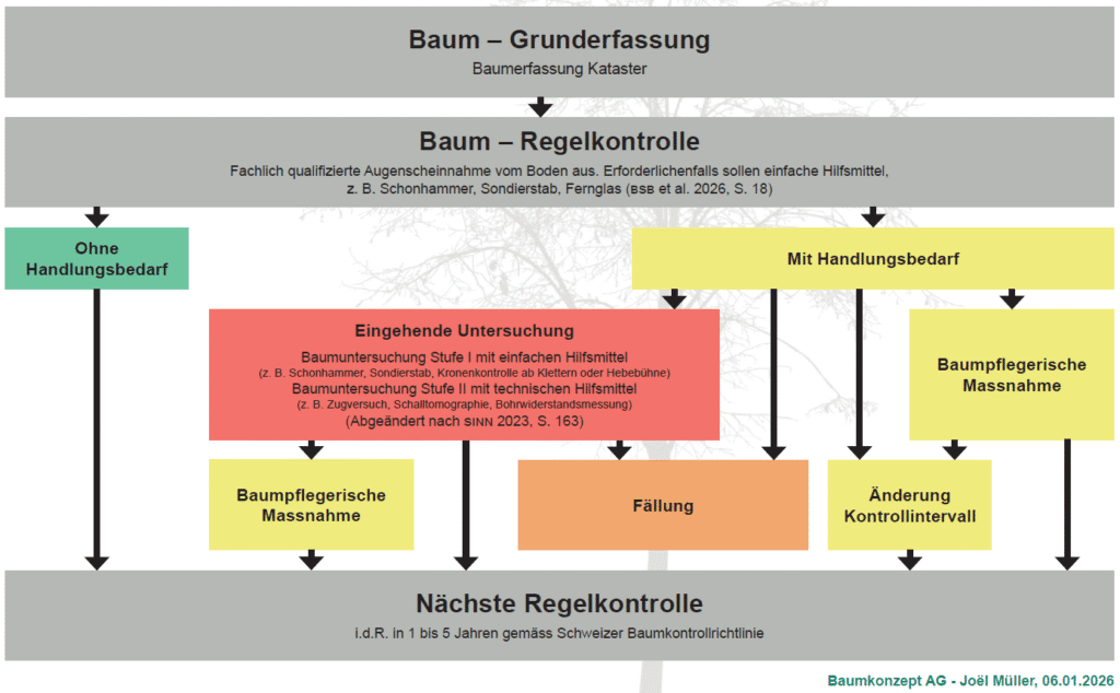 Schema