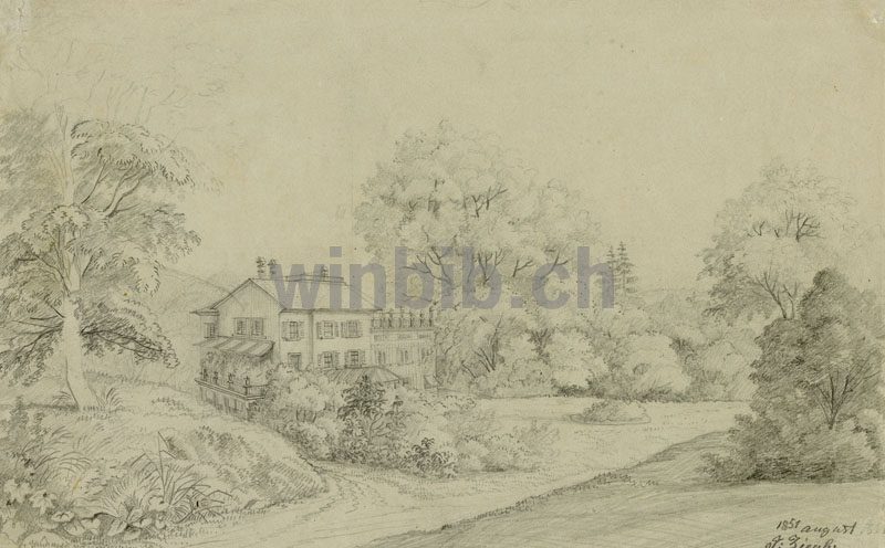 Buche 1851